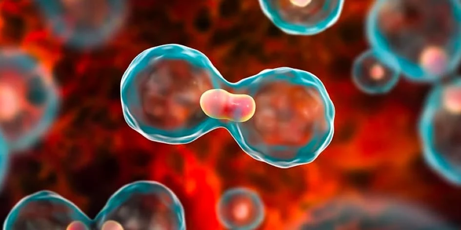 Primer Biliyer Siroz (PBS) Ne demektir? Primer biliyer siroz belirtileri nelerdir?