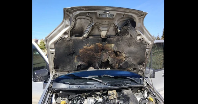 Seyir halindeki kamyonet alev aldı