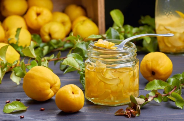 Ayvanın neye faydası var, Ayvanın neye zararı var?