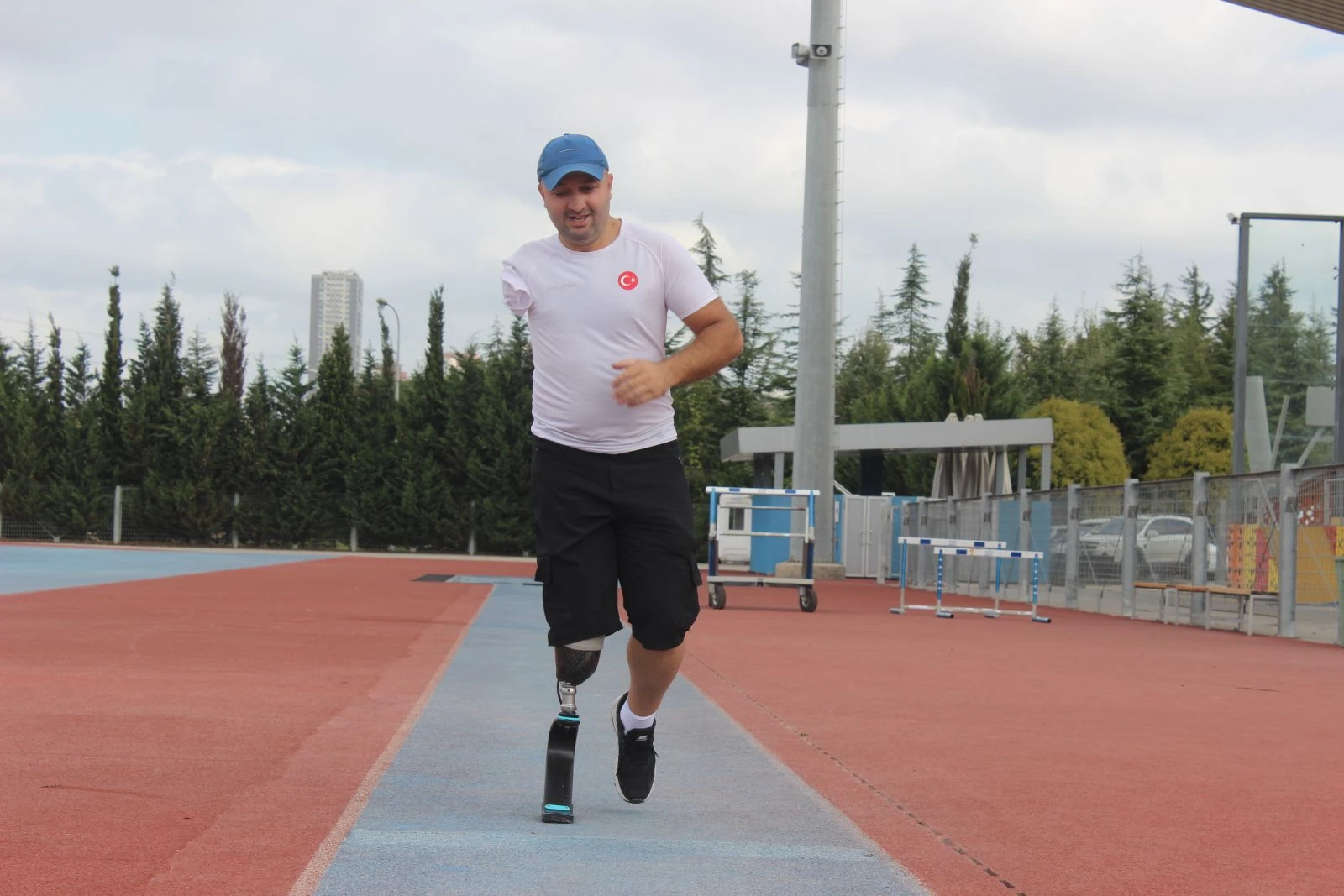 Elma toplamak için çıktığı ağaç hayatını değiştirdi