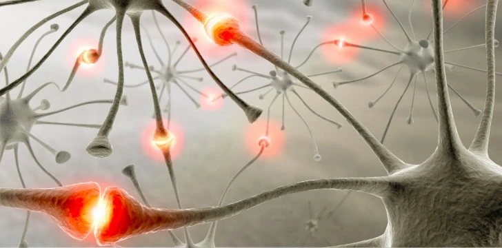 Duyu Yolları Nedir?