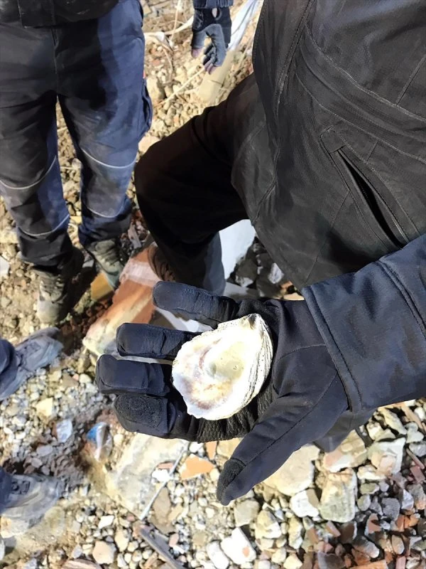 Kartal'da çöken binanın enkazından çıkan deniz kabukları facianın nedenini aydınlattı