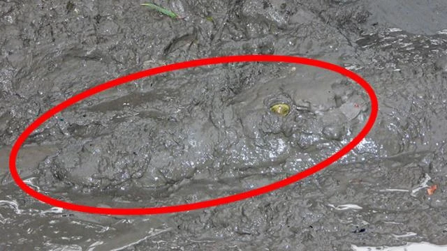 Çamurun içinden aniden fırlayabiliyor! Halk bu fotoğrafla uyarıldı