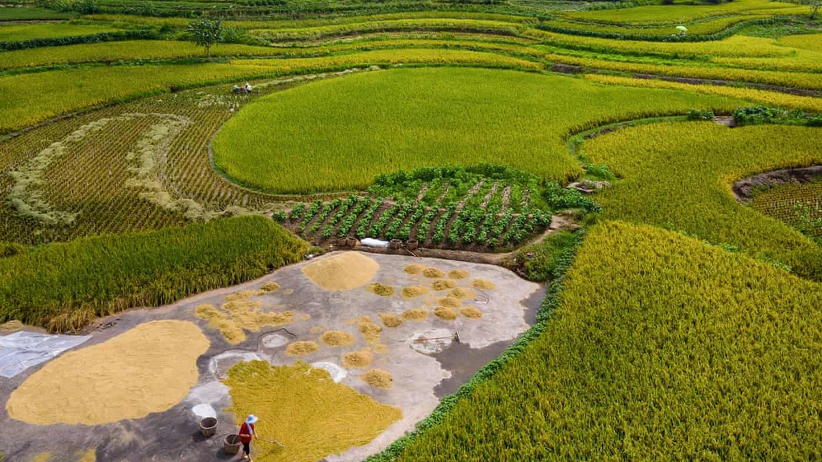 Türkçeyi ilk konuşanlar bulundu: 9 bin yıl önce Çin'de
