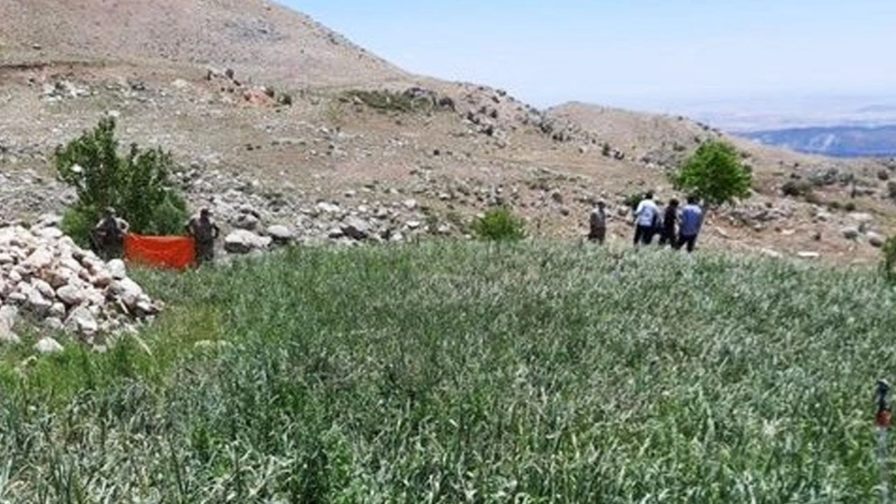 Hayvanları öldürecekti, kendi kurduğu tuzağa düştü