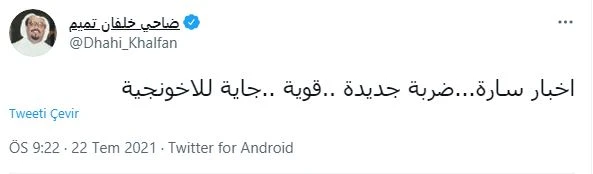 Tunus'taki darbede BAE parmağı mı var?