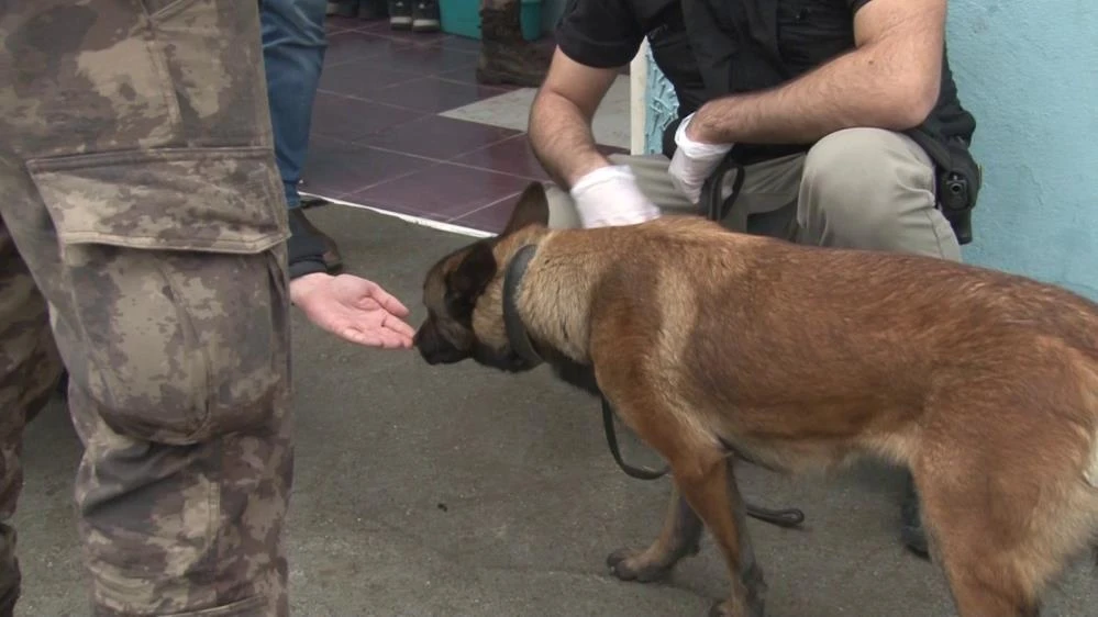 İstanbul'da uyuşturucu operasyonu: Çok sayıda gözaltı