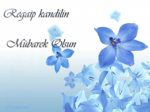 En güzel Regaib Kandili Mesajları, Resimli Regaib Kandili Mesajları, WHATSAPP, INSTAGRAM Paylaşımları