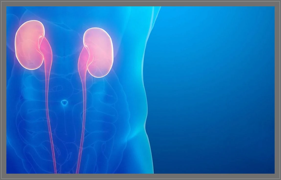 Üroloji Ne Demektir? Üroloji Hangi Hastalıklara Bakar? Üroloji Bölümü Nedir?