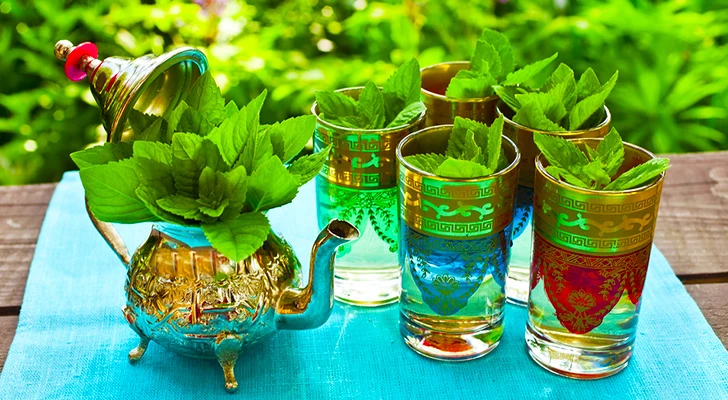 Solunum Sistemi Şifalı Bitkiler