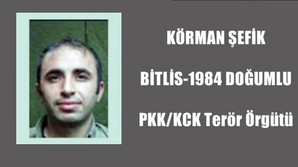 'Şovmen' terörist 'Ali Norşin' Adıyaman'da öldürüldü