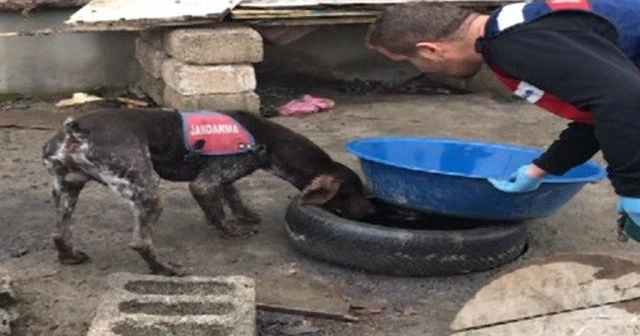 Iğdır'da sigara ve alkol kaçakçılığı
