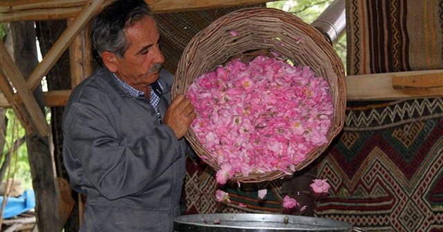 Gramla satılan Isparta'nın gülyağı, altınla yarışıyor