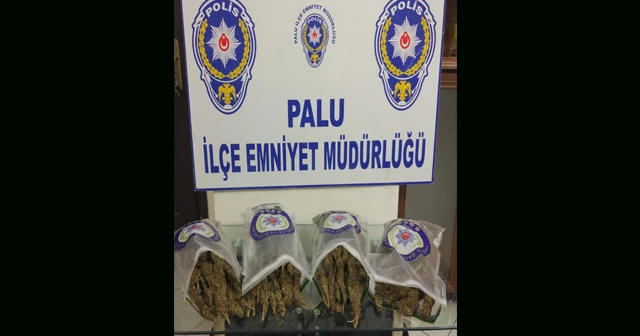 Elazığ'da 4 kilo esrarla yakalanan 2 şüpheli tutuklandı