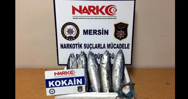 Balığın solungacında uyuşturucu kaçakçılığı