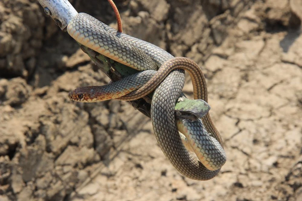 Deprem sandı! Gördüğü manzara karşısında şoke oldu