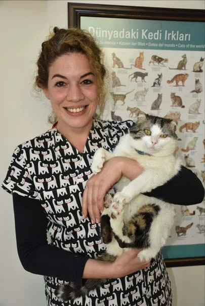 Yangında yaralandı, veterinerin kapısını çaldı