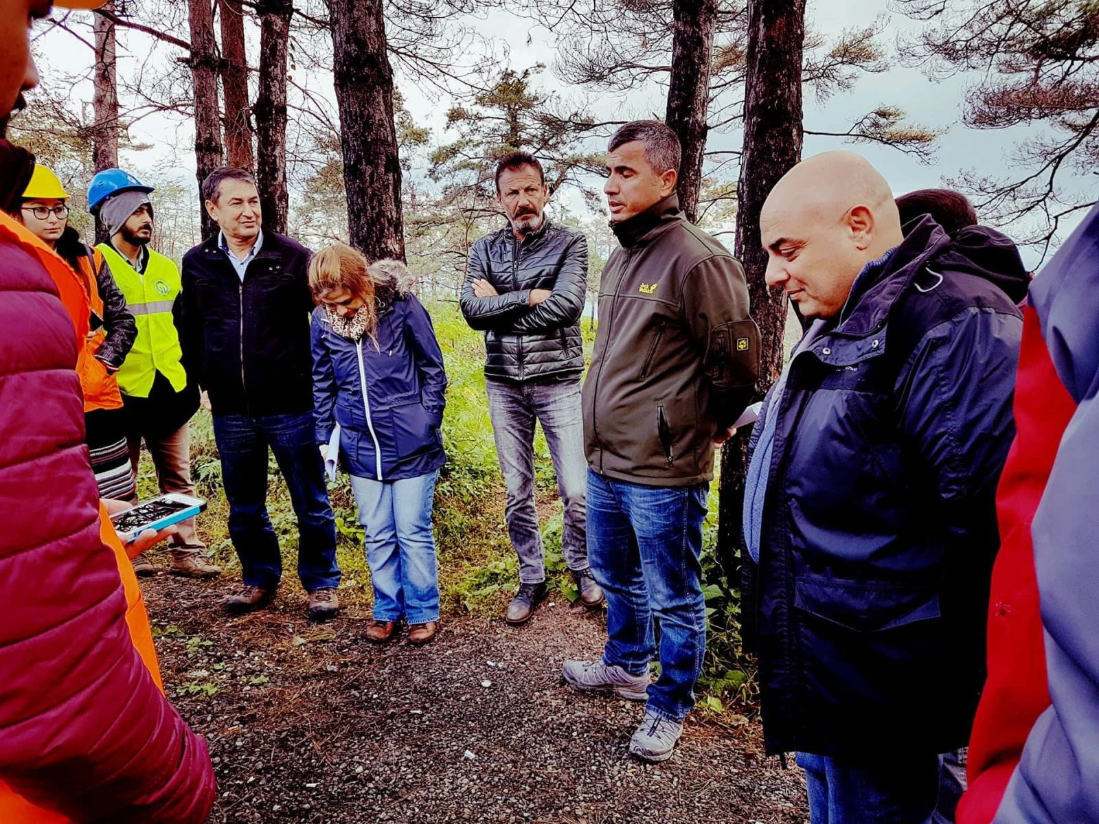 Çamburnu ormanından kötü haber