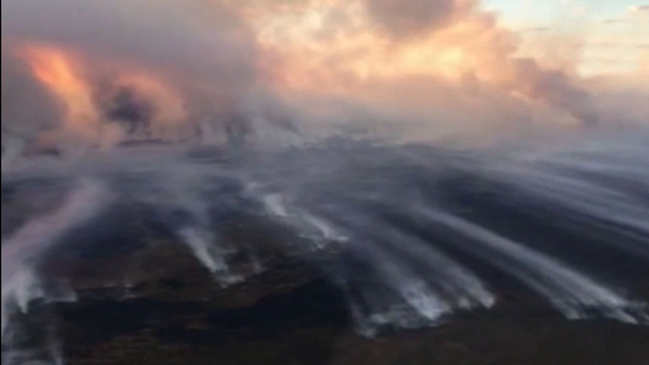 Sibirya'daki orman yangınları 1.3 milyon hektarı küle döndürdü