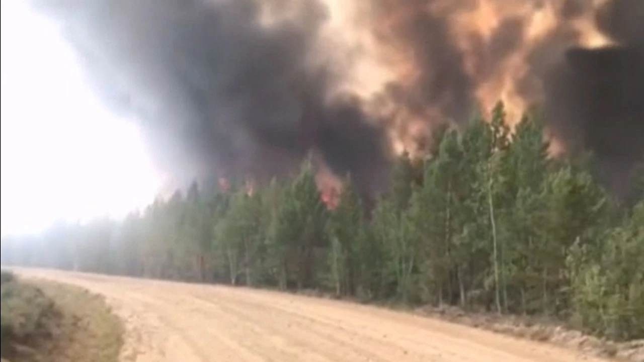 Sibirya'daki orman yangınları 1.3 milyon hektarı küle döndürdü