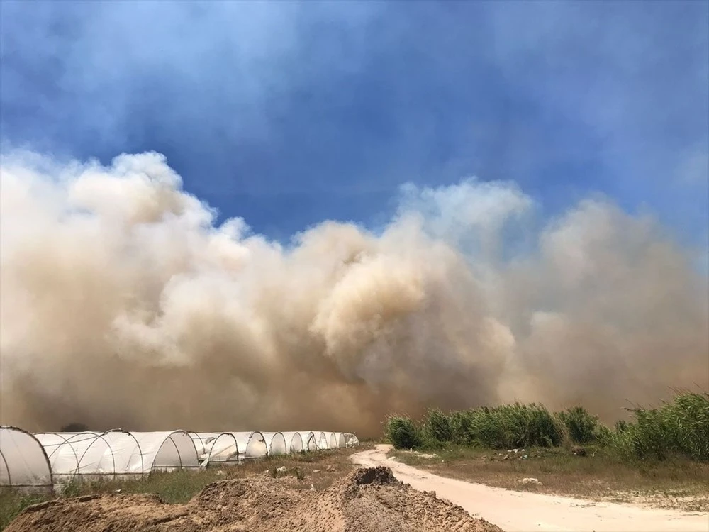 Antalya'da sazlık alanda yangın