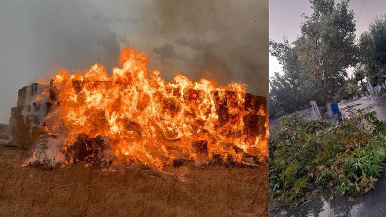 İstanbul'da kuvvetli yağış: Şimşekler çaktı, ağaçlar devrildi
