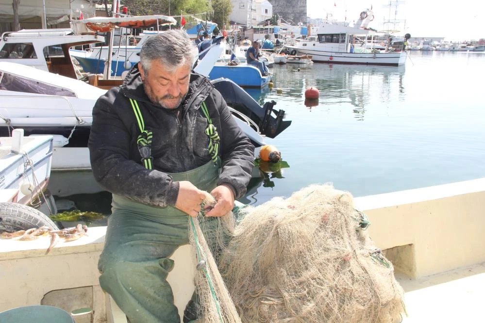 Küçük balıkçıların başı yunuslarla dertte