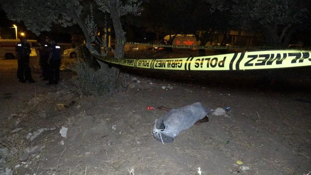 15 yaşındaki genç zeytinlikte ölü bulundu