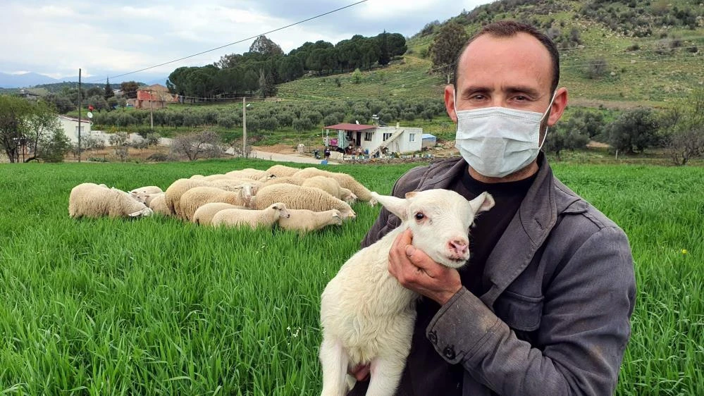 Koyunlarını konser vererek otlatıyor