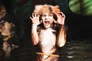 Ünlü gazeteci bu kez de kedi kılığına girdi