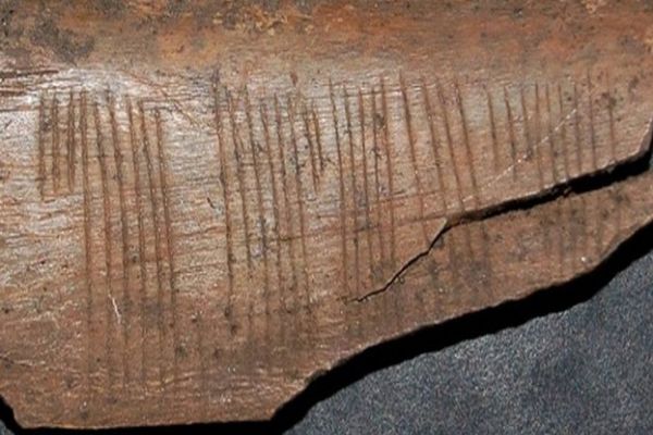 900 yıllık Viking şifresi çözüldü