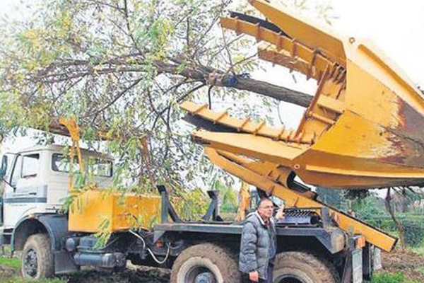 Kocaeli&#039;nde örnek uygulama, iki bin ağaç taşınıyor