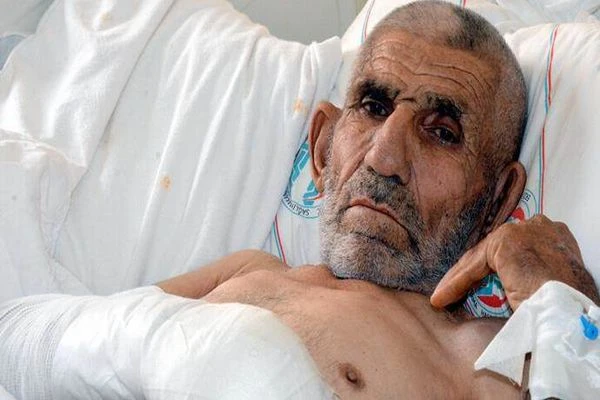 Yaylada ot toplarken yılan tarafından sokuldu, diken battı sandı