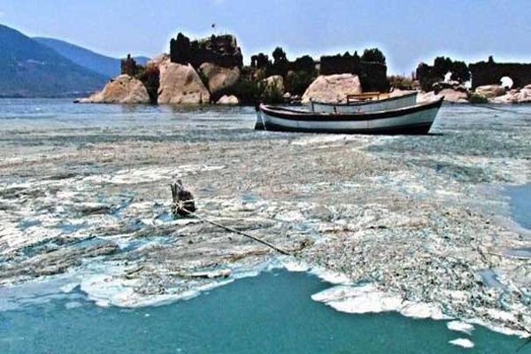 Bafa Gölü&#039;nde korkulan oldu