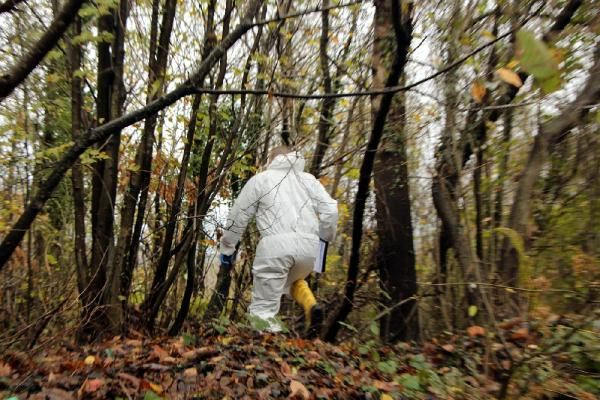 İstanbul Beykoz&#039;da parçalanmış bebek cesedi bulundu