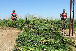 Diyarbakır&#039;da zehir tacirlerine operasyon