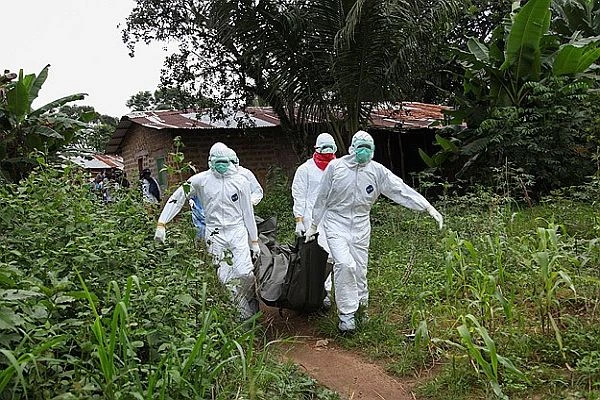 Ebola virüsü insanlara nereden bulaşıyor?