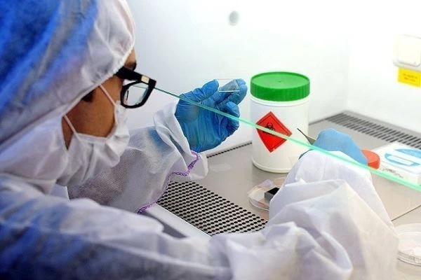 Ebola'dan ölenlerin sayısı 5 bin 689'a yükseldi
