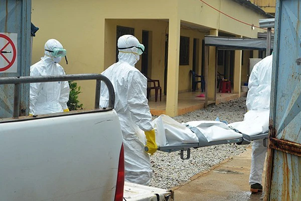 IMF'den Ebola için 130 milyon dolarlık yardım