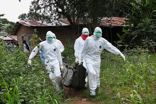 Batı Afrika&#039;da Ebola&#039;dan ölenlerin sayısı 8 bine yaklaştı