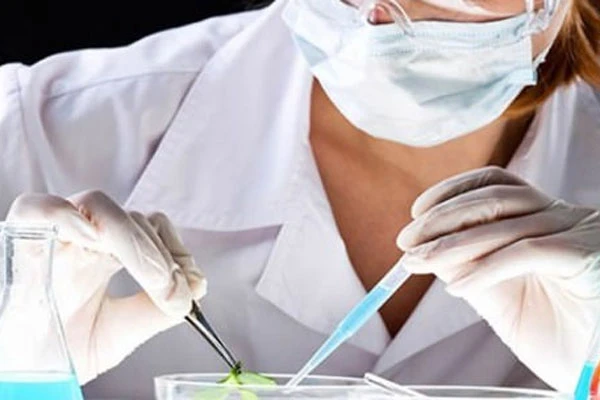 DSÖ'den Ebola hakkında çok kritik açıklama