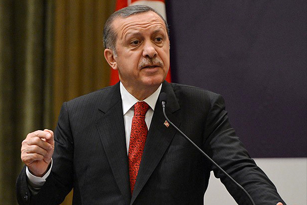 Erdoğan, &#039;Barış Kartalı TSK&#039;nın gören gözü olacak&#039;