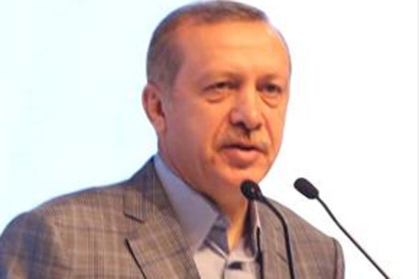 Erdoğan Global Somali Diasporası’nı kabul etti