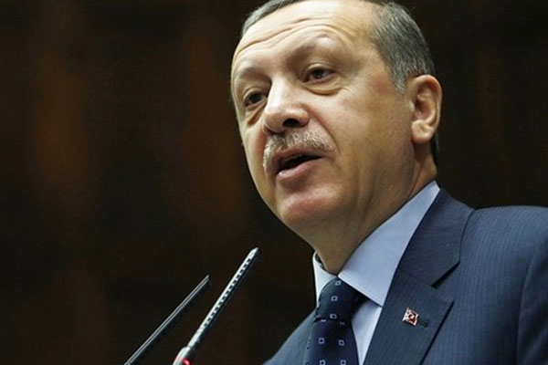 Başbakan Erdoğan&#039;dan Petek Dinçöz&#039;ün çağrısına cevap