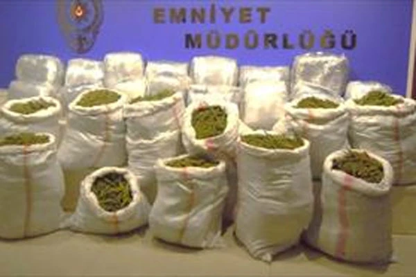 İki haftada yaklaşık 15 ton esrar ele geçirildi