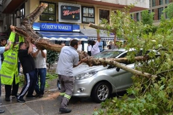 Fırtına ağaçları devirdi, 5 yaralı