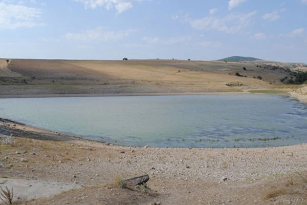 Gölete giren iki çocuk can verdi