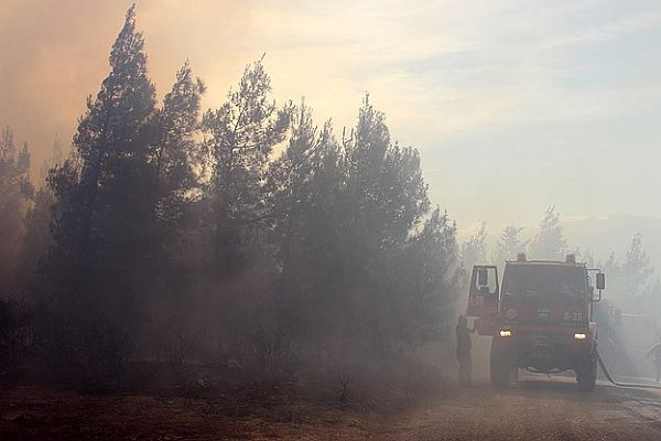 Hatay&#039;da ormanlık alanda yangın çıktı