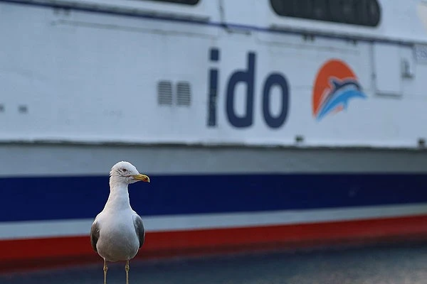 İDO'dan deniz seferi iptali