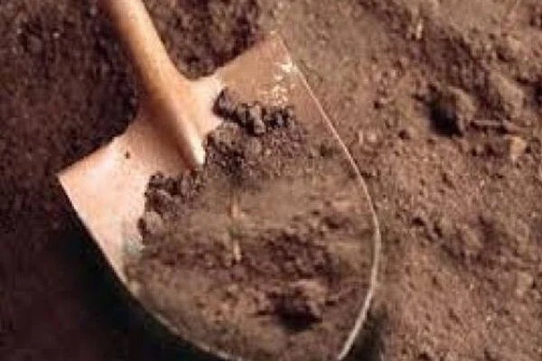İşsiz anne, 24 günlük bebeğini diri diri gömdü